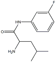 2-amino-N-(3-fluorophenyl)-4-methylpentanamide Struktur