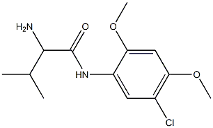 2-amino-N-(5-chloro-2,4-dimethoxyphenyl)-3-methylbutanamide Struktur