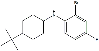 2-bromo-N-(4-tert-butylcyclohexyl)-4-fluoroaniline Struktur