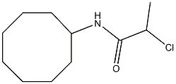 2-chloro-N-cyclooctylpropanamide Struktur