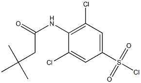 3,5-dichloro-4-(3,3-dimethylbutanamido)benzene-1-sulfonyl chloride Struktur