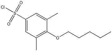 3,5-dimethyl-4-(pentyloxy)benzene-1-sulfonyl chloride Struktur