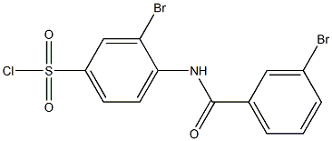 3-bromo-4-[(3-bromobenzene)amido]benzene-1-sulfonyl chloride Struktur