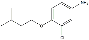 3-chloro-4-(3-methylbutoxy)aniline Struktur