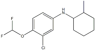 3-chloro-4-(difluoromethoxy)-N-(2-methylcyclohexyl)aniline Struktur