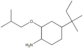 4-(2-methylbutan-2-yl)-2-(2-methylpropoxy)cyclohexan-1-amine Struktur