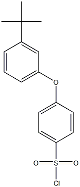 4-(3-tert-butylphenoxy)benzene-1-sulfonyl chloride Struktur