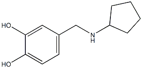 4-[(cyclopentylamino)methyl]benzene-1,2-diol Struktur