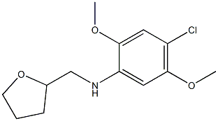 4-chloro-2,5-dimethoxy-N-(oxolan-2-ylmethyl)aniline Struktur