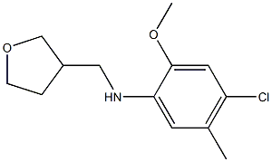 4-chloro-2-methoxy-5-methyl-N-(oxolan-3-ylmethyl)aniline Struktur