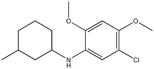 5-chloro-2,4-dimethoxy-N-(3-methylcyclohexyl)aniline Struktur