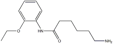 6-amino-N-(2-ethoxyphenyl)hexanamide Struktur