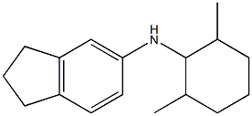 N-(2,6-dimethylcyclohexyl)-2,3-dihydro-1H-inden-5-amine Struktur