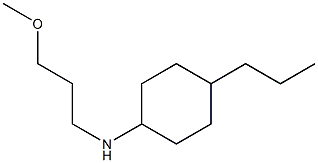 N-(3-methoxypropyl)-4-propylcyclohexan-1-amine Struktur