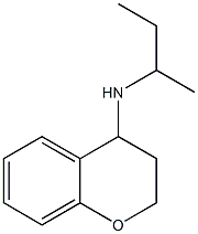 N-(butan-2-yl)-3,4-dihydro-2H-1-benzopyran-4-amine Struktur