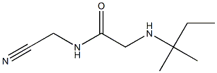 N-(cyanomethyl)-2-[(2-methylbutan-2-yl)amino]acetamide Struktur