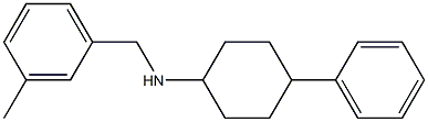 N-[(3-methylphenyl)methyl]-4-phenylcyclohexan-1-amine Struktur