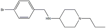 N-[(4-bromophenyl)methyl]-1-propylpiperidin-4-amine Struktur