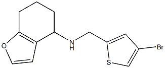 N-[(4-bromothiophen-2-yl)methyl]-4,5,6,7-tetrahydro-1-benzofuran-4-amine Struktur