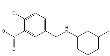 N-[(4-methoxy-3-nitrophenyl)methyl]-2,3-dimethylcyclohexan-1-amine Struktur