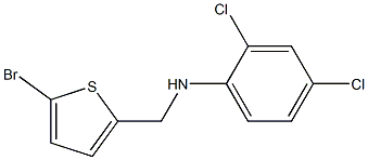 N-[(5-bromothiophen-2-yl)methyl]-2,4-dichloroaniline Struktur