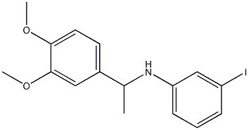 N-[1-(3,4-dimethoxyphenyl)ethyl]-3-iodoaniline Struktur