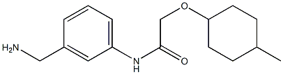 N-[3-(aminomethyl)phenyl]-2-[(4-methylcyclohexyl)oxy]acetamide Struktur