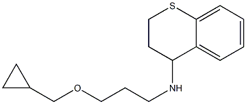 N-[3-(cyclopropylmethoxy)propyl]-3,4-dihydro-2H-1-benzothiopyran-4-amine Struktur