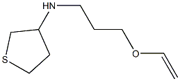 N-[3-(ethenyloxy)propyl]thiolan-3-amine Struktur