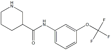 N-[3-(trifluoromethoxy)phenyl]piperidine-3-carboxamide Struktur