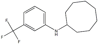 N-[3-(trifluoromethyl)phenyl]cyclooctanamine Struktur