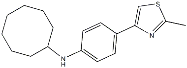 N-[4-(2-methyl-1,3-thiazol-4-yl)phenyl]cyclooctanamine Struktur