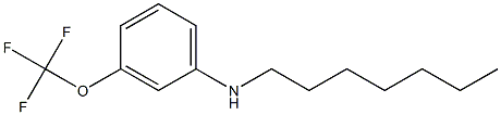 N-heptyl-3-(trifluoromethoxy)aniline Struktur