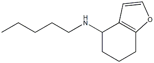 N-pentyl-4,5,6,7-tetrahydro-1-benzofuran-4-amine Struktur