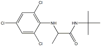 N-tert-butyl-2-[(2,4,6-trichlorophenyl)amino]propanamide Struktur