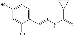 N'-(2,4-dihydroxybenzylidene)cyclopropanecarbohydrazide Struktur