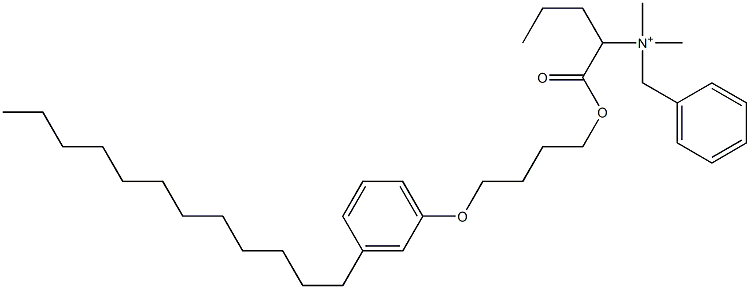 N,N-Dimethyl-N-benzyl-N-[1-[[4-(3-dodecylphenyloxy)butyl]oxycarbonyl]butyl]aminium Struktur