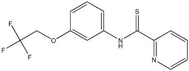 N-[3-(2,2,2-Trifluoroethoxy)phenyl]pyridine-2-carbothioamide Struktur