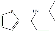 propan-2-yl[1-(thiophen-2-yl)propyl]amine Struktur