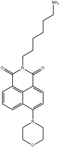 N-(6-aminohexyl)-4-morpholin-4-yl-1,8-naphthalimide Struktur