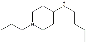 N-butyl-1-propylpiperidin-4-amine Struktur