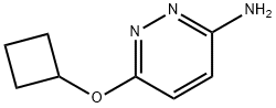 3-Amino-6-(cyclobutoxy)pyridazine Struktur