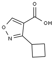 3-cyclobutyl-1,2-oxazole-4-carboxylic acid Struktur