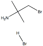 1-bromo-2-methylpropan-2-amine hydrobromide Struktur