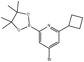 4-Bromo-6-(cyclobutyl)pyridine-2-boronic acid pinacol ester Struktur