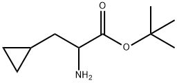 tert-Butyl 2-amino-3-cyclopropylpropanoate 結(jié)構(gòu)式