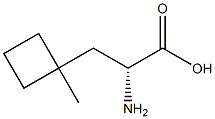 (2R)-2-amino-3-(1-methylcyclobutyl)propanoic acid Struktur