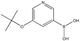 (5-(tert-butoxy)pyridin-3-yl)boronic acid|(5-(tert-butoxy)pyridin-3-yl)boronic acid