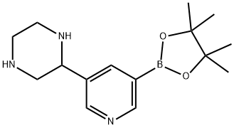 2-(5-(4,4,5,5-tetramethyl-1,3,2-dioxaborolan-2-yl)pyridin-3-yl)piperazine Struktur