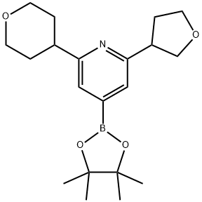 2-(Oxan-4-yl)-6-(oxolan-3-yl)pyridine-4-boronic acid pinacol ester Struktur